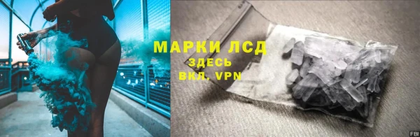спиды Новый Уренгой