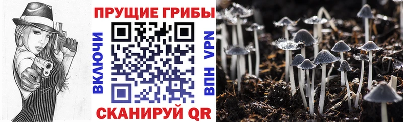 Галлюциногенные грибы прущие грибы  Феодосия 
