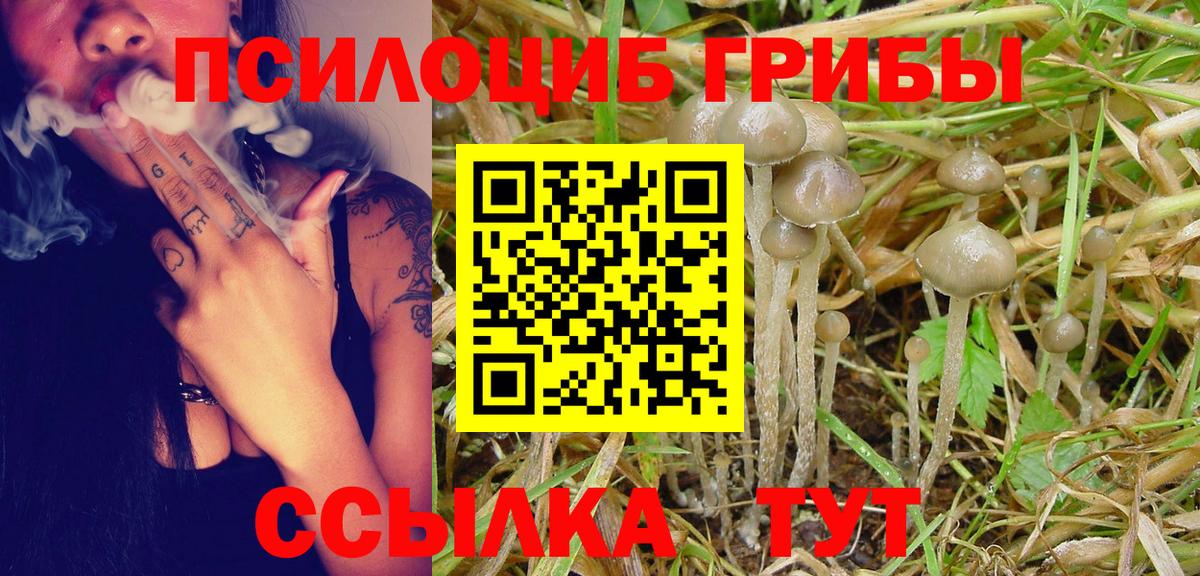 Псилоцибиновые грибы ЛСД  Вход с VPN  Галлюциногенные грибы ЛСД  Феодосия 